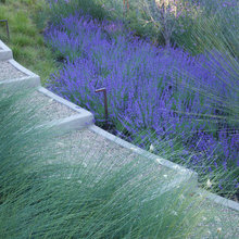 landscaping on hill