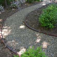 Woodland Path
