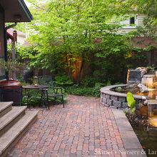 PONDS, plants, fish, frogs and more