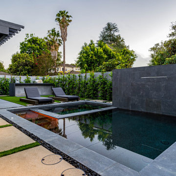 complete back yard renovation