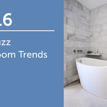 2016 IE Houzz Bathroom Trends Study