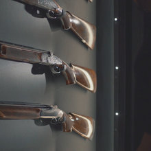 Vault