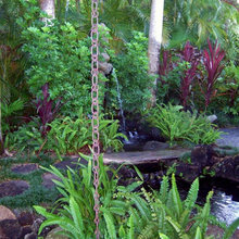Garden Plants