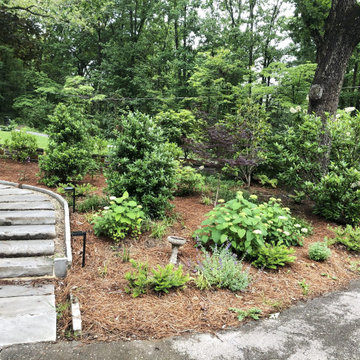 Lookout Mountain Contemporary