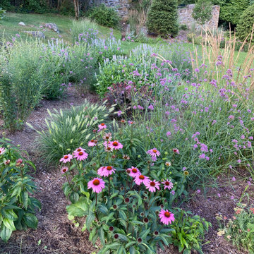 Wild Pollinator Garden