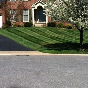 Our Work