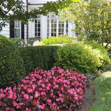 Landscape Design