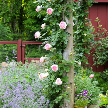 A Kitchen Garden in Chester