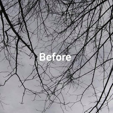 BEFORE AND AFTER
