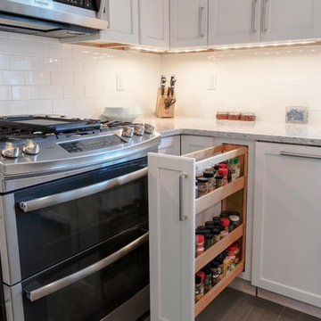 Contemporary Kitchen Remodel