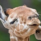 Karen Gotham's photo