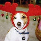 Stephanie Schwartz's photo