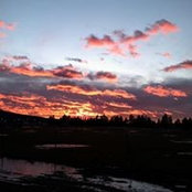 Meredith Schilder's photo
