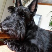 Sally Smith's photo