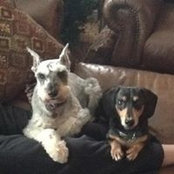 Debra Peters-Wright's photo