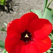Heather Tomczak's photo