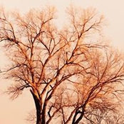 Deb Moore's photo