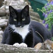 Marion Wagner's photo
