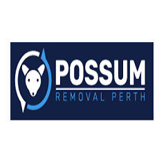Best Possum Removal Perth