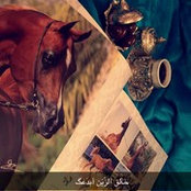 Lujain Al Omari's photo
