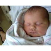David Powers's photo