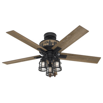 Hunter 52" Mt. Vista Ceiling Fan, Natural Iron With LED Light and Pull ChainNone