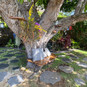 100 Year Old Tree Bench