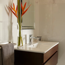Rehoboth powder room