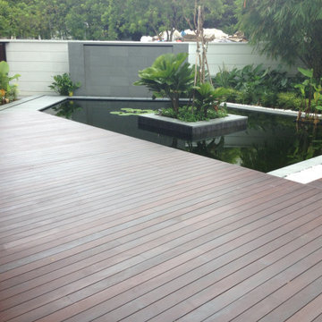 Timber Decking Projects