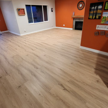 Fox Basement