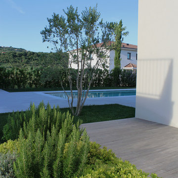 Mediterranean garden
