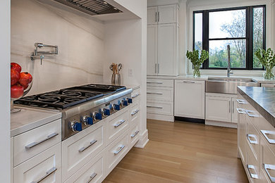 Kitchen - transitional kitchen idea in Detroit
