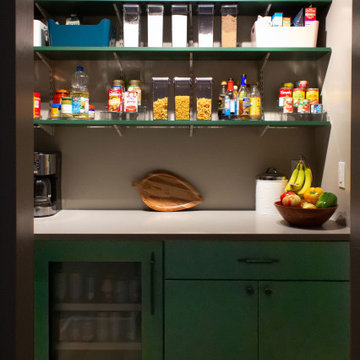 Mixed Materials and Added Functionality for a Mid-Century Modern Remodel