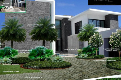 MIAMI BEACH PROPOSAL - FULL PROPERTY LANDSCAPING -DESIGN RENDERS