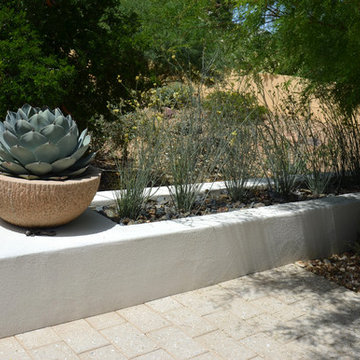 Southwestern Plants