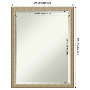 Paris Champagne Beveled Wall Mirror - 20 x 26 in.