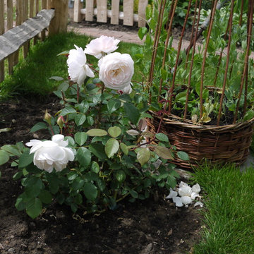 Cottage Garden in Hampshire