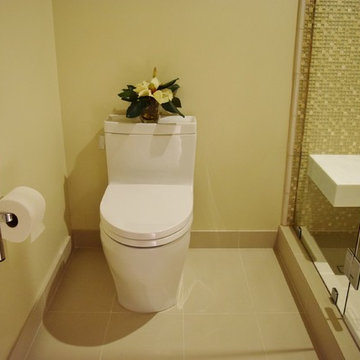 The Jacob Contemporary Master Bath and Guest Bath Remodel - Marina Del Rey, Ca.
