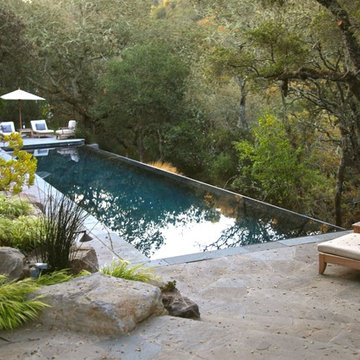 Portola Valley Woodland Infinity Edge Lap Pool