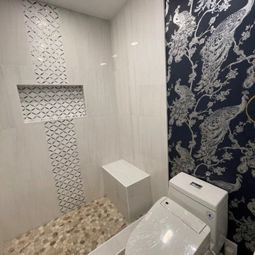 Danville Guest Bathroom remodel