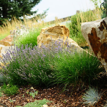 Mountain Native