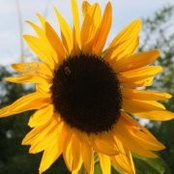 Betsy Salerno Kluge's photo
