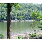 Arthur Anderson's photo