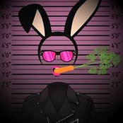 Naz Carota's photo