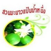 สวนมะนาวแป้นน้ำหนึ่ง พิบูลฯ's photo