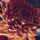 leesh7