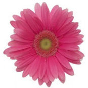 Catherine Colton's photo