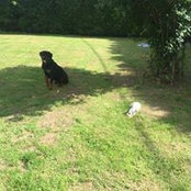 Dany Giroux's photo