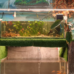 7Aquascape