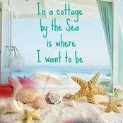 Melissa Carpenter's photo